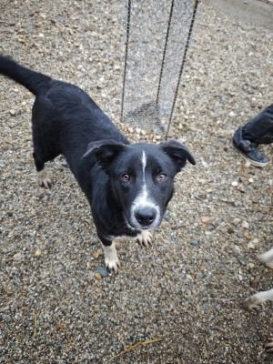 WhatsApp Bild 2025 11 20 um 18.16.14 8fed74b8