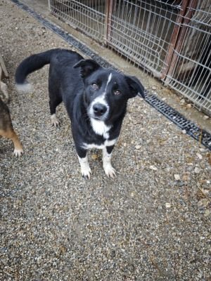 WhatsApp Bild 2025 11 20 um 18.16.14 aa9a2fa9