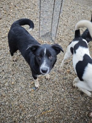 WhatsApp Bild 2025 11 20 um 18.16.14 fbc56c86