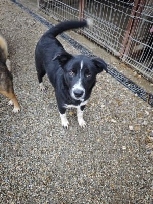 WhatsApp Bild 2025 11 20 um 18.16.15 913c886f