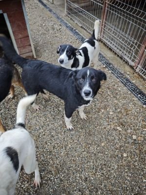 WhatsApp Bild 2025 11 20 um 18.16.15 dcf582f1