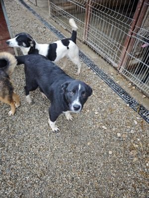 WhatsApp Bild 2025 11 20 um 18.16.16 d2ff0bcf