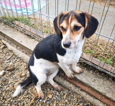 WhatsApp Bild 2025 11 21 um 18.18.27 35a3851f