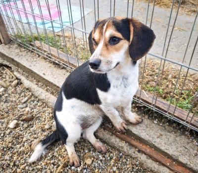 WhatsApp Bild 2025 11 21 um 18.18.27 7a3cd1be