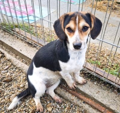 WhatsApp Bild 2025 11 21 um 18.18.29 da0140e1