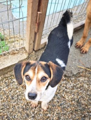 WhatsApp Bild 2025 11 21 um 18.18.31 388d2fc2