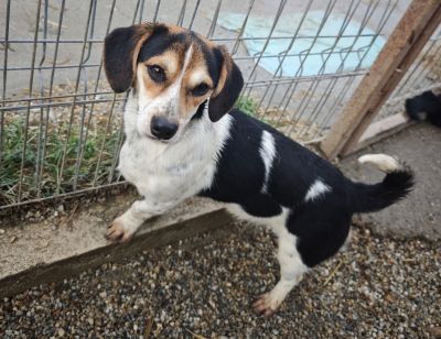 WhatsApp Bild 2025 11 21 um 18.18.31 856b7c2d