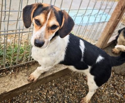 WhatsApp Bild 2025 11 21 um 18.18.31 b9143821