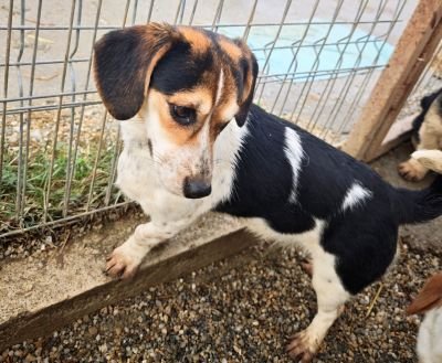 WhatsApp Bild 2025 11 21 um 18.18.31 fe253174