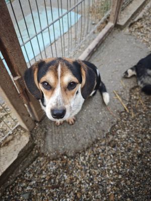 WhatsApp Bild 2025 11 21 um 18.18.32 33beb857