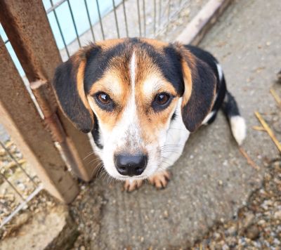 WhatsApp Bild 2025 11 21 um 18.18.32 40bc0fbd