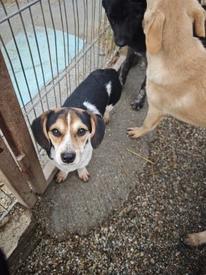 WhatsApp Bild 2025 11 21 um 18.18.33 3adcb526