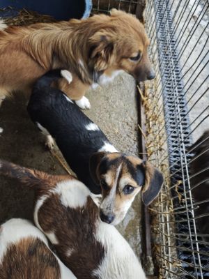 WhatsApp Bild 2025 11 21 um 18.18.33 c6d12cdf