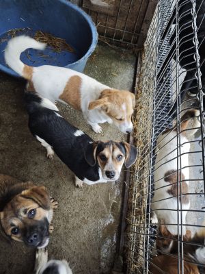 WhatsApp Bild 2025 11 21 um 18.18.33 cc80cf44