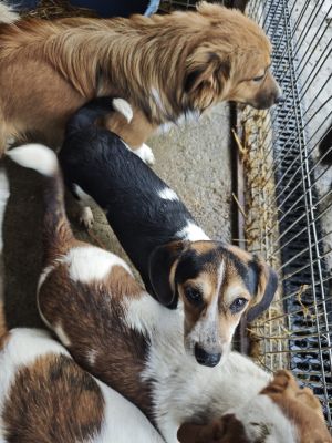 WhatsApp Bild 2025 11 21 um 18.18.33 f8526e89