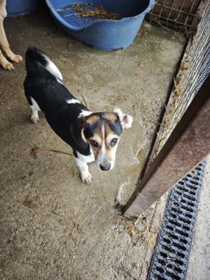 WhatsApp Bild 2025 11 21 um 18.18.34 08a74274