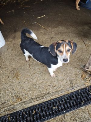 WhatsApp Bild 2025 11 21 um 18.18.34 933800b1