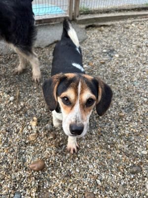 WhatsApp Bild 2025 11 21 um 18.19.00 0682aaa5