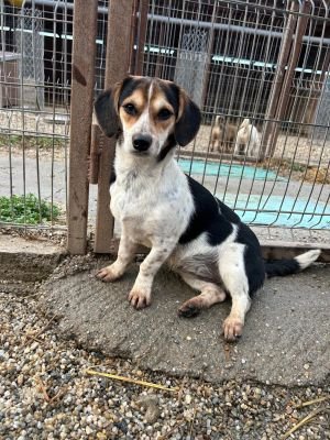 WhatsApp Bild 2025 11 21 um 18.19.00 54768b0e