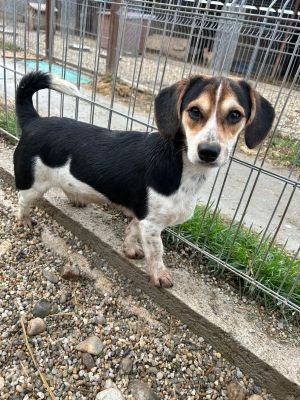 WhatsApp Bild 2025 11 21 um 18.19.01 68760dd2