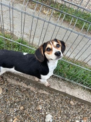 WhatsApp Bild 2025 11 21 um 18.19.01 e20f0a39