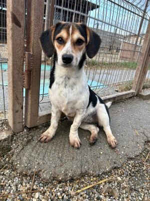 WhatsApp Bild 2025 11 21 um 18.19.01 ef7d8e47