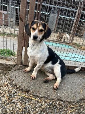 WhatsApp Bild 2025 11 21 um 18.19.01 fe4f45de