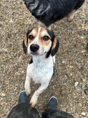 WhatsApp Bild 2025 11 21 um 18.19.02 0ad943ec