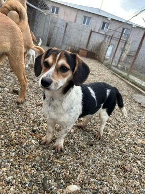 WhatsApp Bild 2025 11 21 um 18.19.02 292b783d