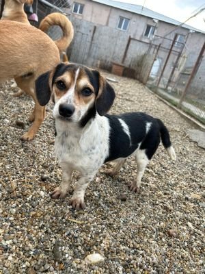 WhatsApp Bild 2025 11 21 um 18.19.02 ca3201af