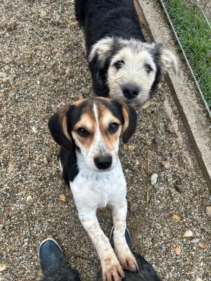 WhatsApp Bild 2025 11 21 um 18.19.02 cfe9e164