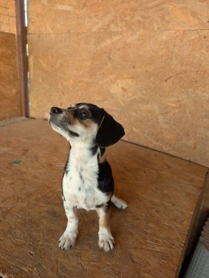 Whatsapp image 2025 09 06 at 10.04.34 (1)