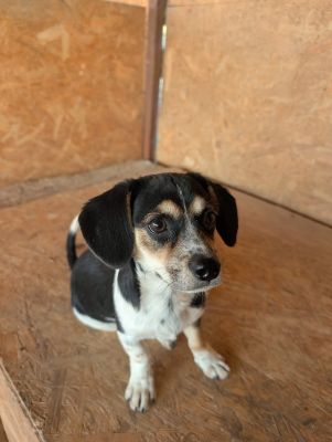 Whatsapp image 2025 09 06 at 10.04.34 (2)