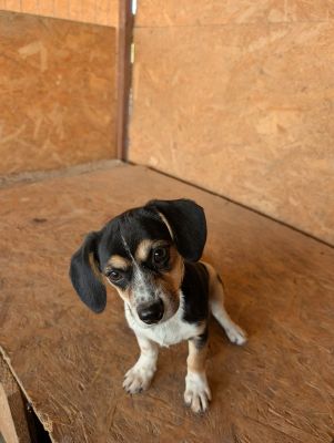 Whatsapp image 2025 09 06 at 10.04.34