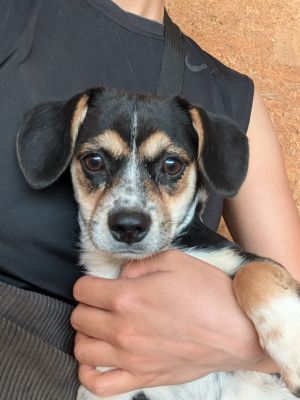 Whatsapp image 2025 09 06 at 10.04.35 (3)