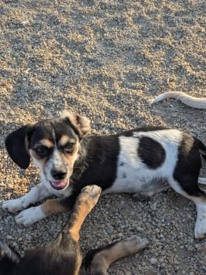 Whatsapp image 2025 09 06 at 10.04.36 (1)