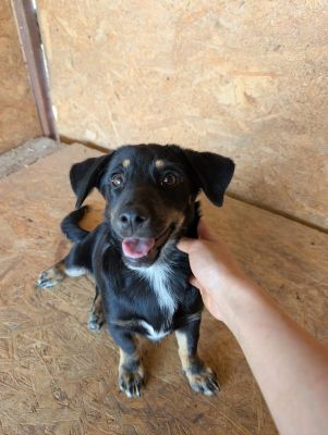 Whatsapp image 2025 09 06 at 10.15.54 (3)