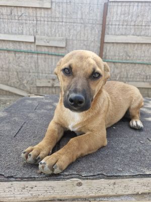 Whatsapp image 2025 09 11 at 11.00.58