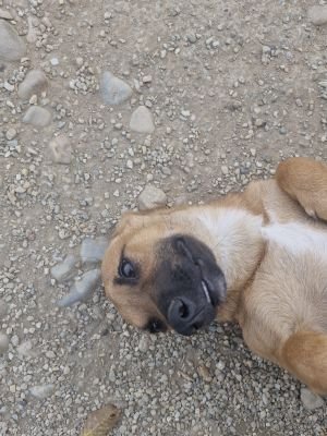 Whatsapp image 2025 09 11 at 11.01.08