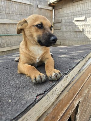 Whatsapp image 2025 09 11 at 11.02.56