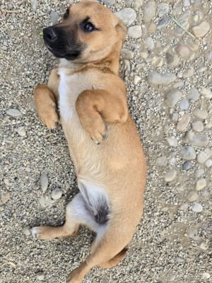 Whatsapp image 2025 09 11 at 11.02.57 (1)