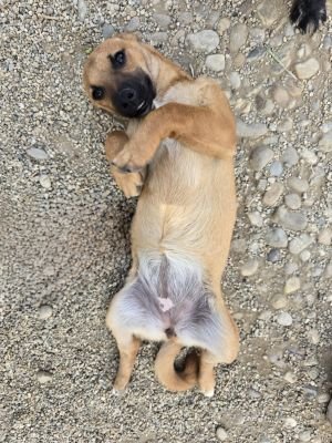 Whatsapp image 2025 09 11 at 11.02.58