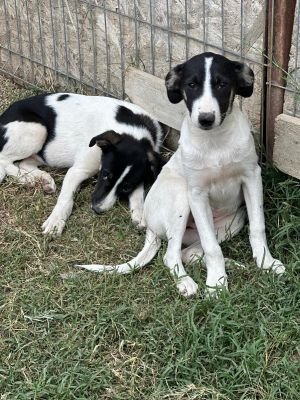 Whatsapp image 2025 09 11 at 11.24.00 (1)