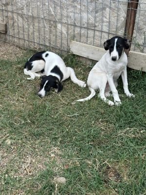 Whatsapp image 2025 09 11 at 11.24.00