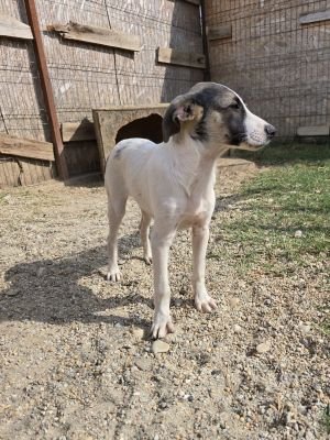 Whatsapp image 2025 09 11 at 11.25.21 (1)