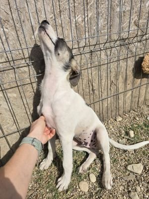 Whatsapp image 2025 09 11 at 11.25.22 (1)