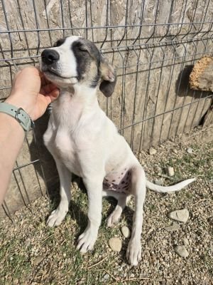 Whatsapp image 2025 09 11 at 11.25.22 (2)