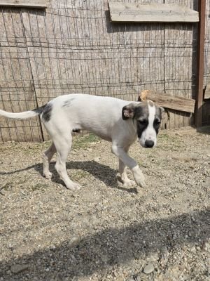 Whatsapp image 2025 09 11 at 11.25.22