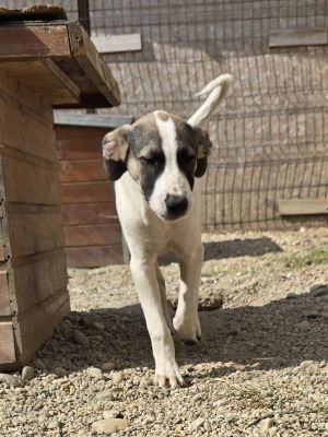 Whatsapp image 2025 09 11 at 11.25.24