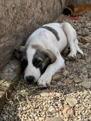 Whatsapp image 2025 09 11 at 11.25.40 (1)